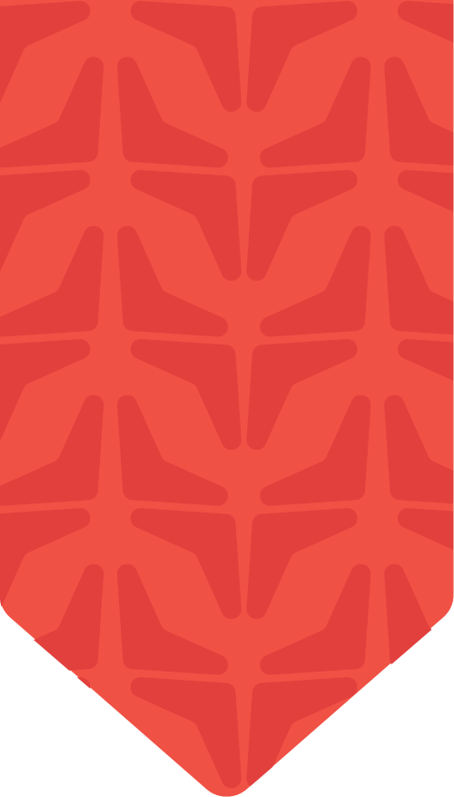 Timeline bg coral