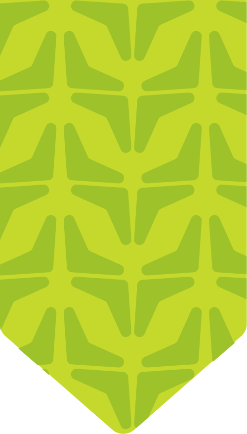 Timeline bg lime