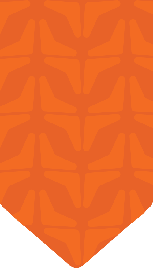 Timeline bg orange