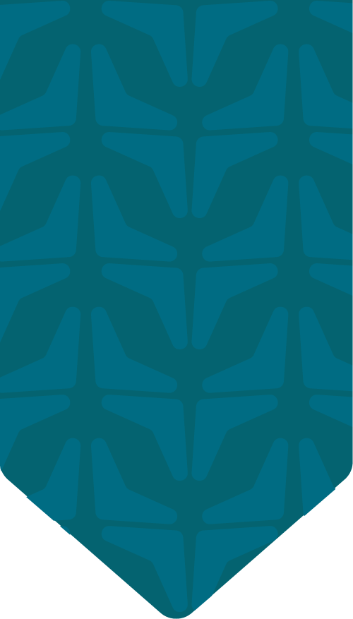 Timeline bg teal