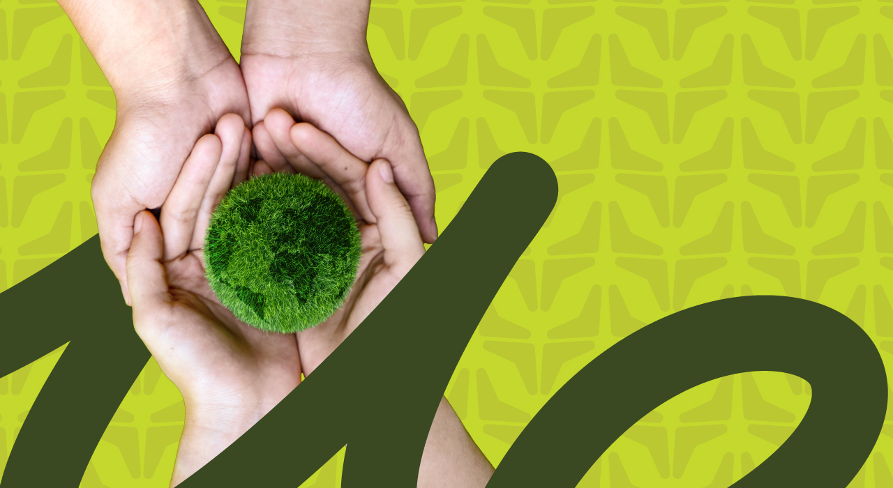 Carbon Neutral BLOG